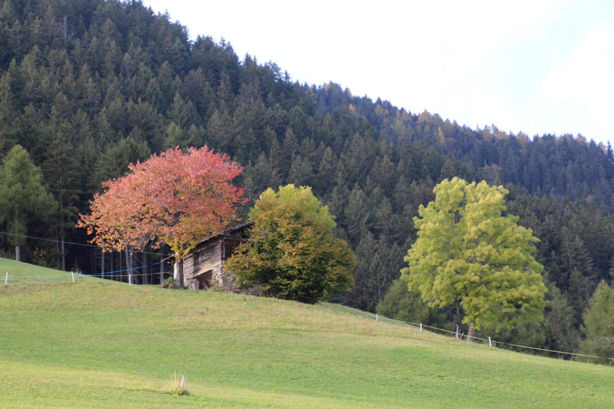 Hotel Gasthof Walde à Rifiano Extérieur photo